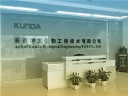 一呼百應(yīng) 技術(shù)賦能，智聯(lián)未來——上海技術(shù)咨詢頻道解析