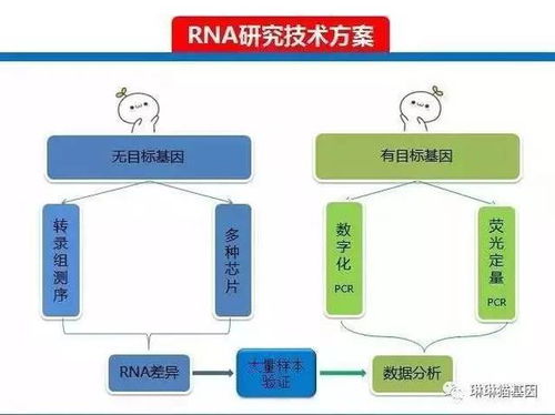 解密基因科研的底層邏輯與數字化賦能之路